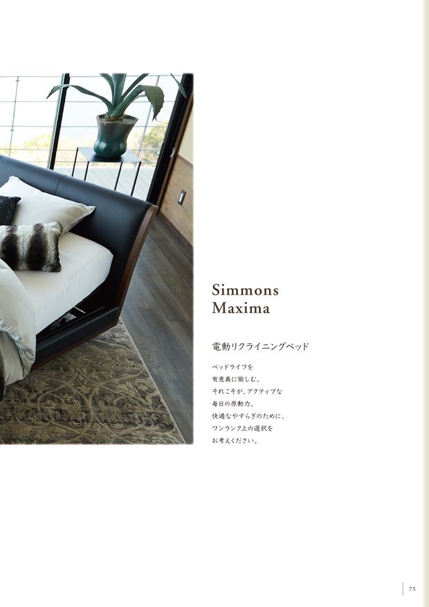 SIMMONS Vol.13